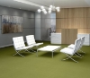 Picture of Philadelphia Commercial by Shaw - Color Accents 24 x 24 Brite Green