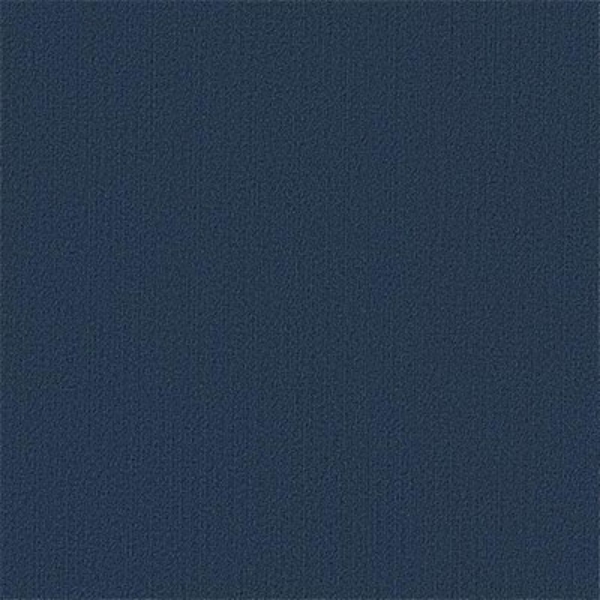 Picture of Philadelphia Commercial by Shaw - Color Accents 24 x 24 Deep Navy