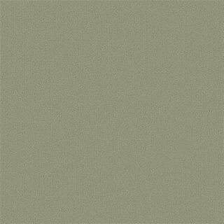 Picture of Philadelphia Commercial by Shaw - Color Accents 24 x 24 Fescue