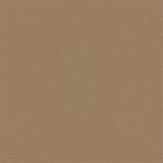 Picture of Philadelphia Commercial by Shaw - Color Accents 24 x 24 Gilded