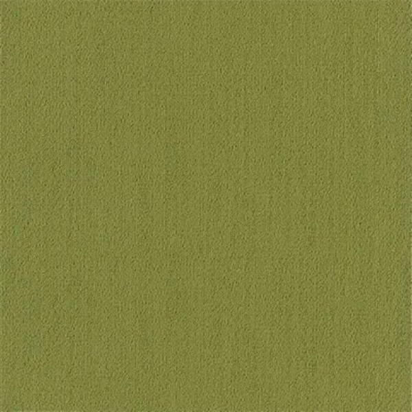 Picture of Philadelphia Commercial by Shaw - Color Accents 24 x 24 Green