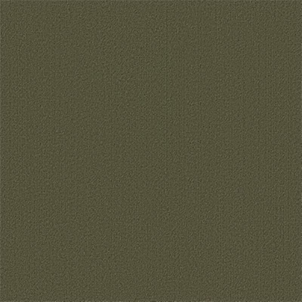 Picture of Philadelphia Commercial by Shaw - Color Accents 24 x 24 Ivy