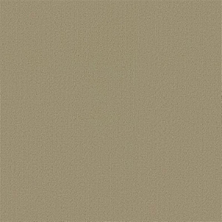 Picture of Philadelphia Commercial by Shaw - Color Accents 24 x 24 Lichen