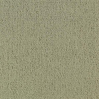 Picture of Philadelphia Commercial by Shaw - Color Accents 24 x 24 Light Taupe