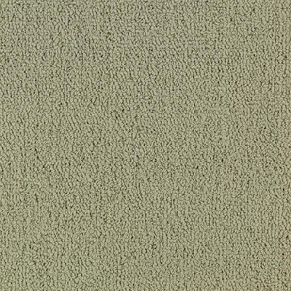 Picture of Philadelphia Commercial by Shaw - Color Accents 24 x 24 Light Taupe