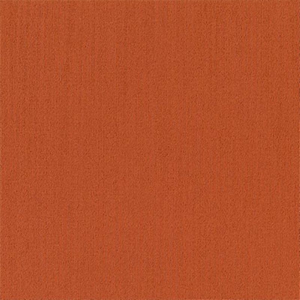 Picture of Philadelphia Commercial by Shaw - Color Accents 24 x 24 Paprika