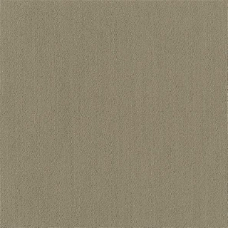 Picture of Philadelphia Commercial by Shaw - Color Accents 24 x 24 Sage