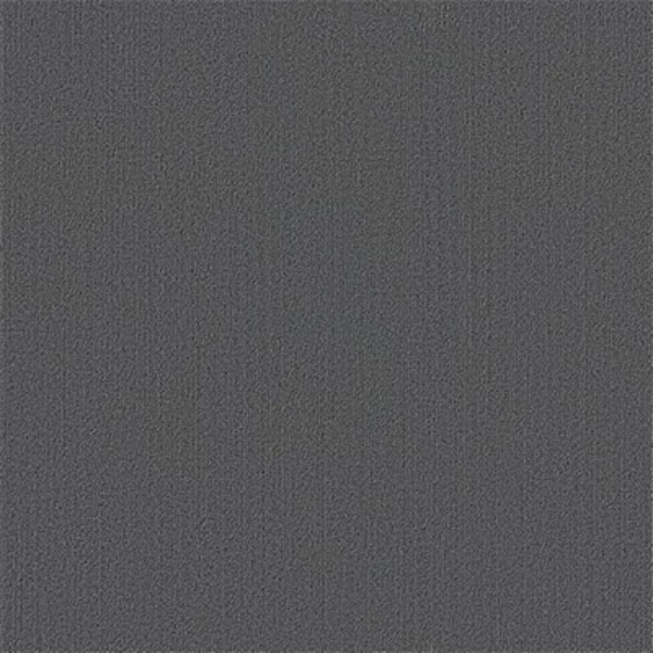 Picture of Philadelphia Commercial by Shaw - Color Accents 24 x 24 Slate