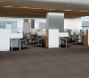 Picture of Philadelphia Commercial by Shaw - Color Accents 24 x 24 Taupe