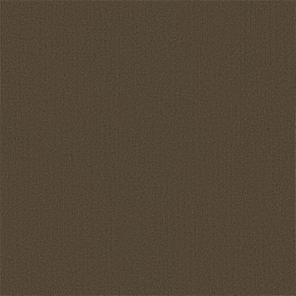 Picture of Philadelphia Commercial by Shaw - Color Accents 24 x 24 Timber