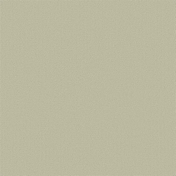 Picture of Philadelphia Commercial by Shaw - Color Accents 24 x 24 Tumbleweed