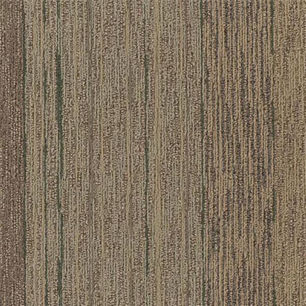 Picture of Philadelphia Commercial by Shaw - Unscripted - Off The Cuff Reality TV