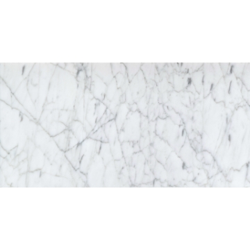 Picture of Emser Tile - Marble 12 x 24 Polished Bianco Gioia