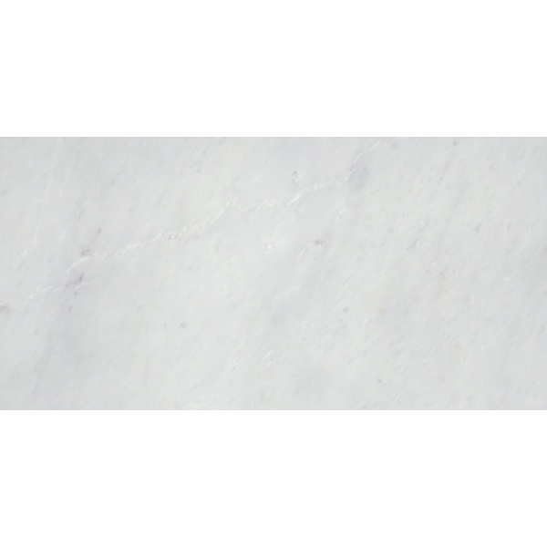 Picture of Emser Tile - Marble 12 x 24 Polished Winter Frost