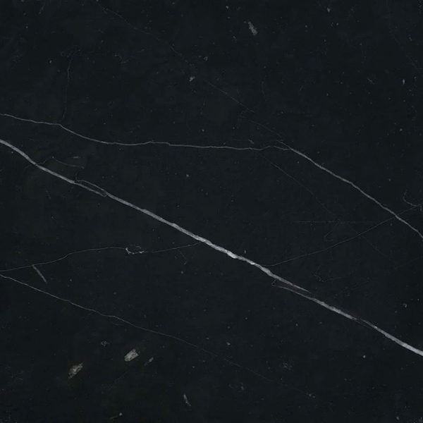 Picture of Emser Tile - Marble 12 x 12 Polished Marquina