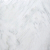 Picture of Emser Tile - Marble 24 x 24 Polished Winter Frost Classico