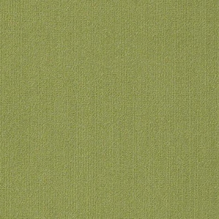 Picture of Philadelphia Commercial by Shaw - Color Accents 18 x 36 Brite Green