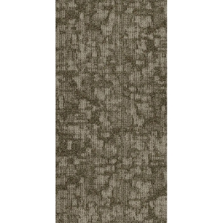 Picture of Philadelphia Commercial by Shaw - Arid 18 x 36 Salt Flat