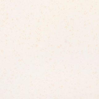 Picture of Flexco - Geodesy 36 x 36 080 Lunar