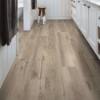 Picture of Shaw Floors - Anvil Plus 20 MIL Mineral Maple