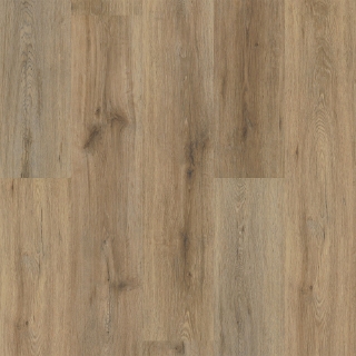 Picture of Shaw Floors - Endura Plus Wild Dunes