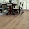 Picture of Shaw Floors - Endura Plus Wild Dunes