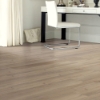 Picture of Shaw Floors - Endura Plus Driftwood