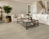 Picture of Shaw Floors - Endura Plus Silver Dollar