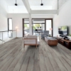 Picture of Shaw Floors - Endura Plus Fresh Driftwood