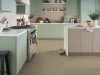 Picture of Shaw Floors - Distinction Plus Earthy Taupe