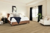 Picture of Shaw Floors - Distinction Plus Golden Timber