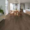 Picture of Shaw Floors - Fresh Take Cabriole Brown
