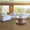 Picture of Shaw Floors - Dwell Warm Honey