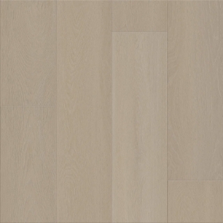 Picture of Shaw Floors - Dwell Genuine Greige