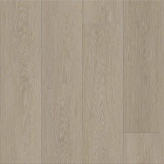 Picture of Shaw Floors - Dwell Gossamer Grey