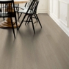 Picture of Shaw Floors - Dwell Gossamer Grey