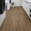 Picture of Shaw Floors - Dockside Vickery Creek