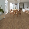 Picture of Shaw Floors - Dockside Vickery Creek