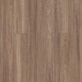 Picture of Shaw Floors - Worlds Fair 6 MIL Brussels