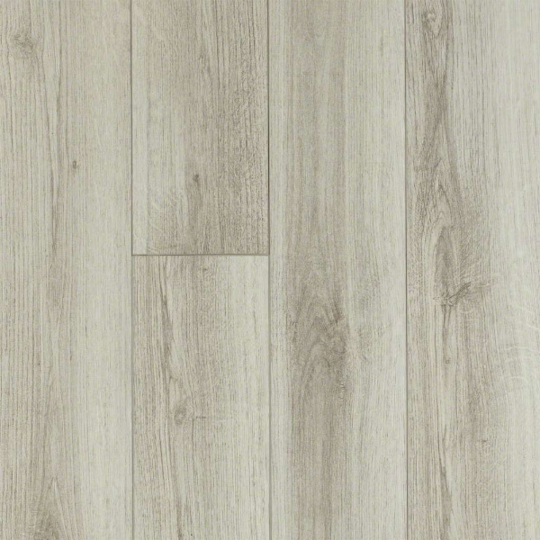 Picture of Shaw Floors - Tivoli Plus Pecorino