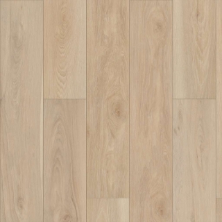 Picture of Shaw Floors - Pantheon HD Plus Natural Bevel Alabaster