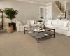 Picture of Shaw Floors - Pantheon HD Plus Natural Bevel Alabaster