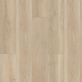 Picture of Shaw Floors - Paragon HD Plus Natural Bevel Cambridge