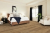 Picture of Shaw Floors - Paragon HD Plus Natural Bevel Mansart