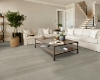 Picture of Shaw Floors - Titan HD Plus Platinum Serene Driftwood