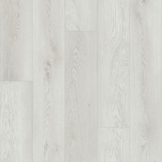 Picture of Shaw Floors - Paladin Plus Feather Grey
