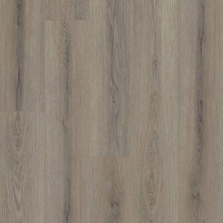 Picture of Shaw Floors - Paladin Plus Ashen Brown
