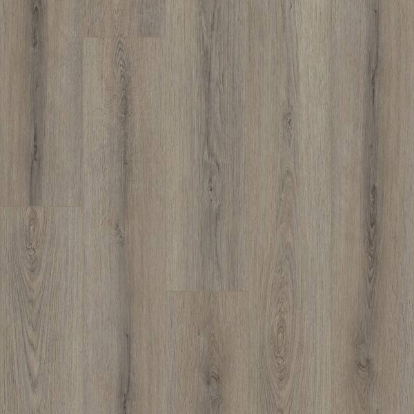 Picture of Shaw Floors - Paladin Plus Ashen Brown