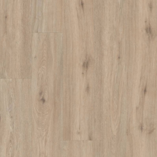 Picture of Shaw Floors - Pantheon HD Plus Sabbia