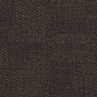 Picture of Philadelphia Commercial by Shaw - Reemerge Alter